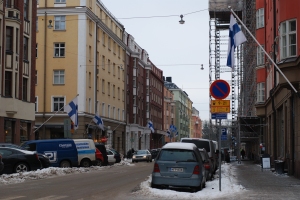 Finnish Flags